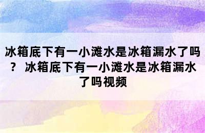 冰箱底下有一小滩水是冰箱漏水了吗？ 冰箱底下有一小滩水是冰箱漏水了吗视频